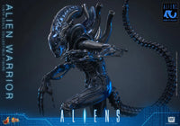 Aliens: Alien Warrior - 1/6 Scale Figure (Pre-Order) - Hot Toys
