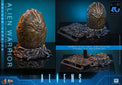 Aliens: Deluxe Alien Warrior - 1/6 Scale Figure (Pre-Order) - Hot Toys