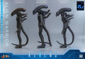 Aliens: Deluxe Alien Warrior - 1/6 Scale Figure (Pre-Order) - Hot Toys