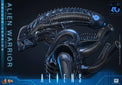 Aliens: Deluxe Alien Warrior - 1/6 Scale Figure (Pre-Order) - Hot Toys