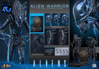 Aliens: Deluxe Alien Warrior - 1/6 Scale Figure (Pre-Order) - Hot Toys
