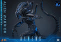 Aliens: Deluxe Alien Warrior - 1/6 Scale Figure (Pre-Order) - Hot Toys