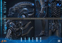 Aliens: Deluxe Alien Warrior - 1/6 Scale Figure (Pre-Order) - Hot Toys