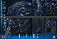 Aliens: Deluxe Alien Warrior - 1/6 Scale Figure (Pre-Order) - Hot Toys