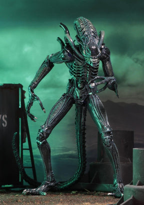 Aliens: Ultimate Blue Warrior - 7" Scale Figure - NECA