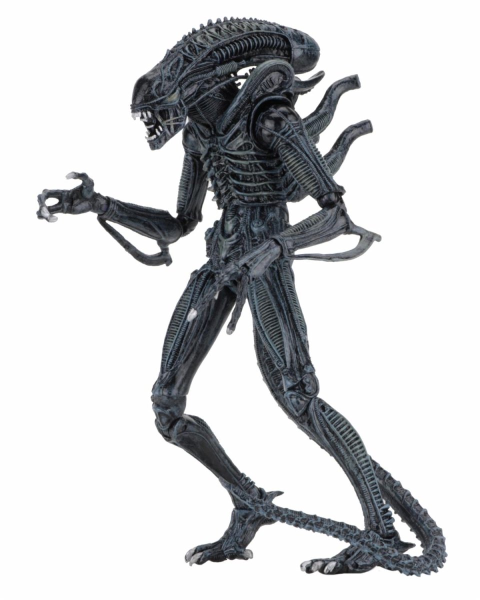 Aliens: Ultimate Blue Warrior - 7" Scale Figure - NECA