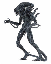 Aliens: Ultimate Blue Warrior - 7" Scale Figure - NECA