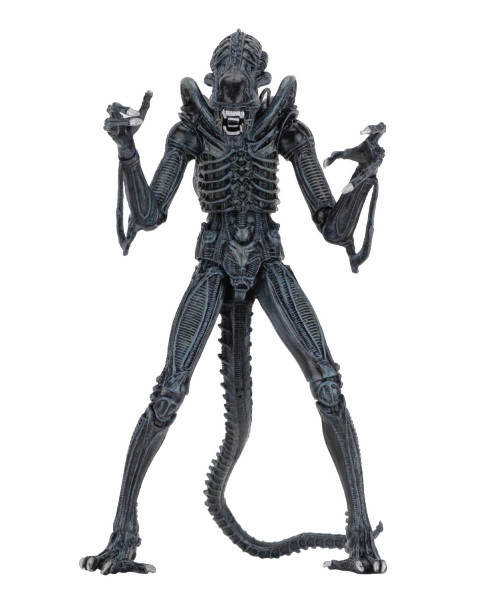 (うっう) NECA ネカ Ultimate warrior エイリアン Aliens Ultimate Brown Warrior 7 Inch Figure Pre-Order Now – The