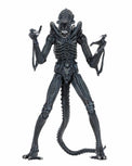 Aliens: Ultimate Brown Warrior - 7" Scale Figure - NECA
