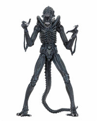 Aliens: Ultimate Brown Warrior - 7" Scale Figure - NECA