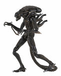 Aliens: Ultimate Brown Warrior - 7" Scale Figure - NECA