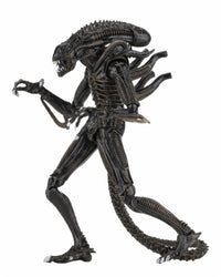 Aliens: Ultimate Brown Warrior - 7" Scale Figure - NECA