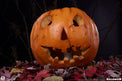 Halloween 1978 - Jack - O - Lantern 1/1 Scale - The Last Toy Store