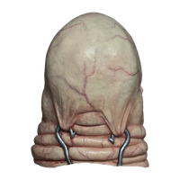 Hellraiser: Butterball - Latex Mask - Trick or Treat Studios
