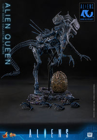 Aliens (40th Anniversary): Alien Queen - 1/6 Scale Figure (Pre-Order)