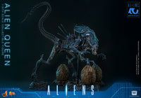 Aliens (40th Anniversary): Alien Queen - 1/6 Scale Figure (Pre-Order)