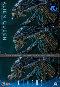 Aliens (40th Anniversary): Alien Queen - 1/6 Scale Figure (Pre-Order)
