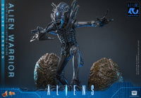 Aliens: Deluxe Alien Warrior - 1/6 Scale Figure (Pre-Order)