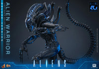Aliens: Deluxe Alien Warrior - 1/6 Scale Figure (Pre-Order)