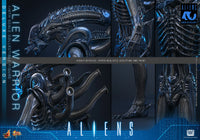 Aliens: Deluxe Alien Warrior - 1/6 Scale Figure (Pre-Order)
