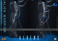Aliens: Deluxe Alien Warrior - 1/6 Scale Figure (Pre-Order)