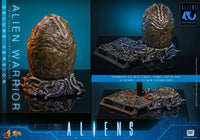 Aliens: Deluxe Alien Warrior - 1/6 Scale Figure (Pre-Order)