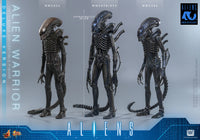 Aliens: Deluxe Alien Warrior - 1/6 Scale Figure (Pre-Order)