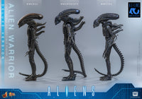 Aliens: Deluxe Alien Warrior - 1/6 Scale Figure (Pre-Order)