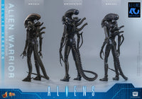 Aliens: Deluxe Alien Warrior - 1/6 Scale Figure (Pre-Order)
