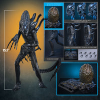 Aliens: Deluxe Alien Warrior - 1/6 Scale Figure (Pre-Order)