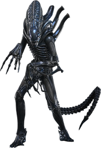 Aliens: Deluxe Alien Warrior - 1/6 Scale Figure (Pre-Order)