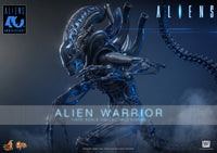 Aliens: Alien Warrior - 1/6 Scale Figure (Pre-Order)