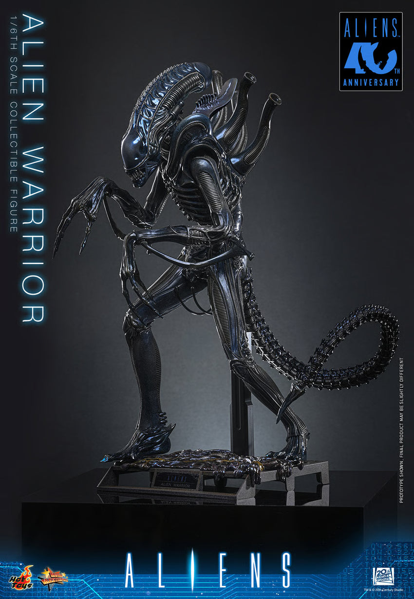 Aliens: Alien Warrior - 1/6 Scale Figure (Pre-Order)