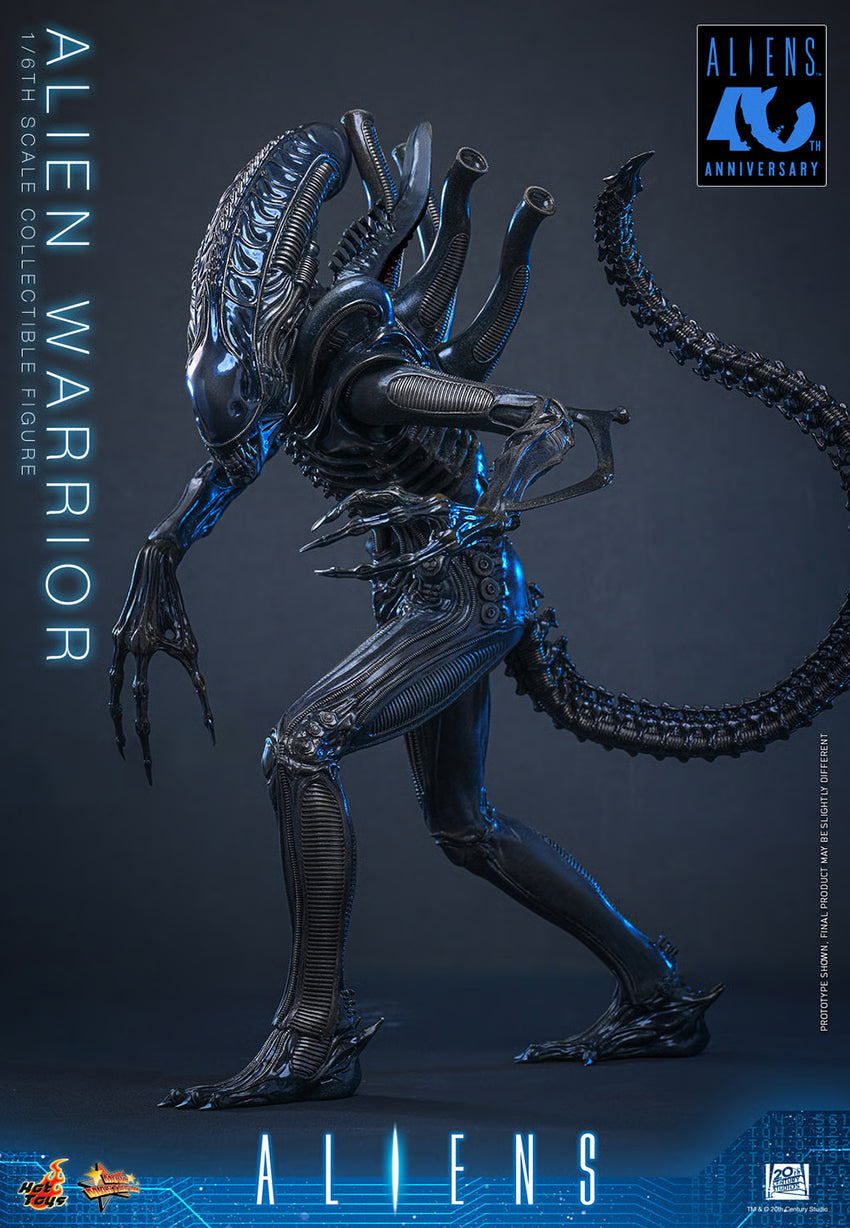 Aliens: Alien Warrior - 1/6 Scale Figure (Pre-Order)