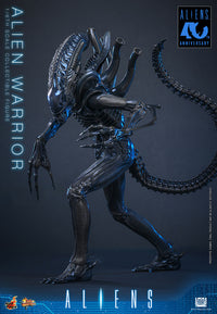 Aliens: Alien Warrior - 1/6 Scale Figure (Pre-Order)