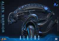Aliens: Alien Warrior - 1/6 Scale Figure (Pre-Order)