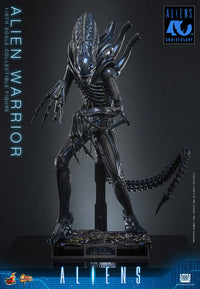 Aliens: Alien Warrior - 1/6 Scale Figure (Pre-Order)