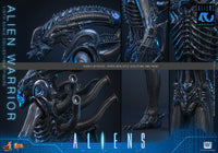 Aliens: Alien Warrior - 1/6 Scale Figure (Pre-Order)