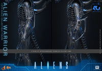 Aliens: Alien Warrior - 1/6 Scale Figure (Pre-Order)