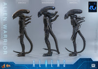 Aliens: Alien Warrior - 1/6 Scale Figure (Pre-Order)