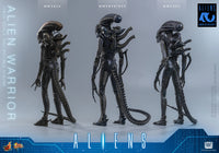 Aliens: Alien Warrior - 1/6 Scale Figure (Pre-Order)