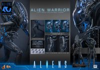 Aliens: Alien Warrior - 1/6 Scale Figure (Pre-Order)