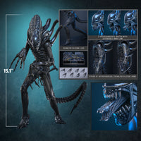 Aliens: Alien Warrior - 1/6 Scale Figure (Pre-Order)