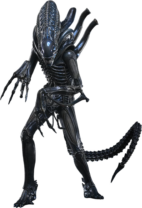 Aliens: Alien Warrior - 1/6 Scale Figure (Pre-Order)