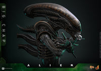 Alien: Big Chap - 1/6 Scale Figure