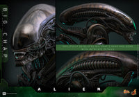 Alien: Big Chap - 1/6 Scale Figure