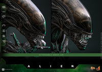 Alien: Big Chap - 1/6 Scale Figure