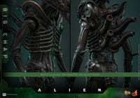 Alien: Big Chap - 1/6 Scale Figure