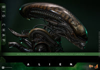 Alien: Big Chap - 1/6 Scale Figure