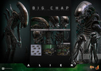 Alien: Big Chap - 1/6 Scale Figure